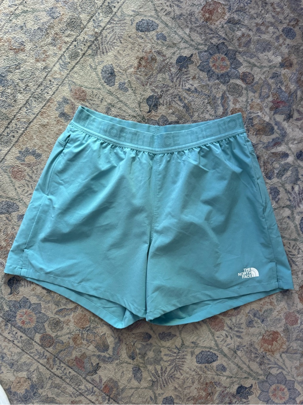The North Face Women's Teal Lightweight Athletic Shorts